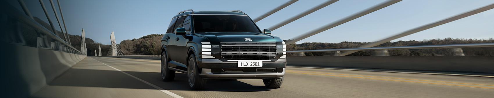 All New Palisade